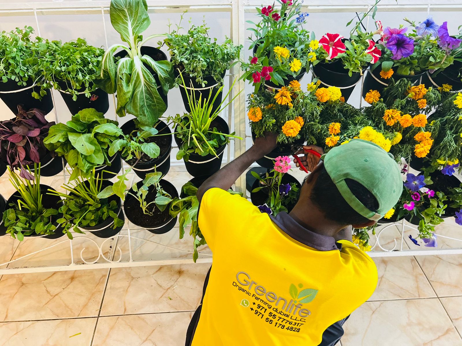 Balcony garden Dubai Balcony garden Dubai