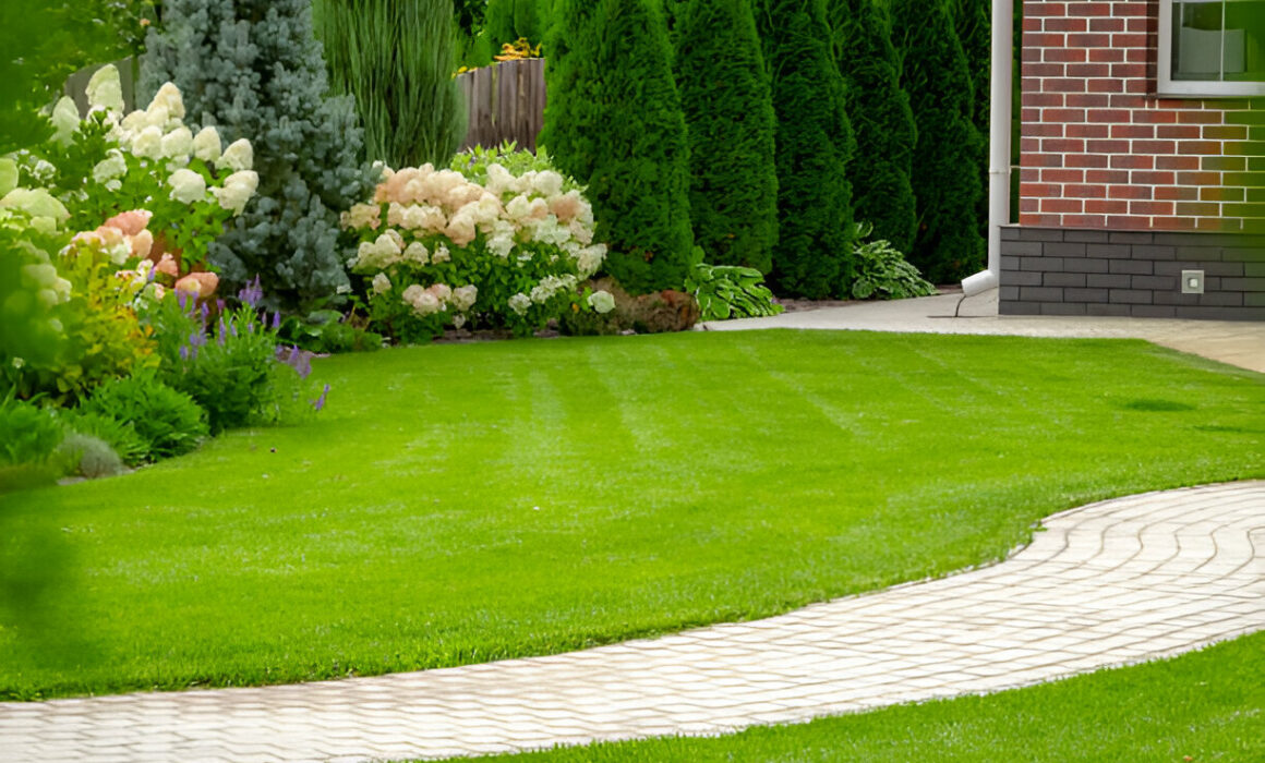 Garden Landscaping Dubai