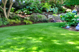 Garden Landscaping in Dubai