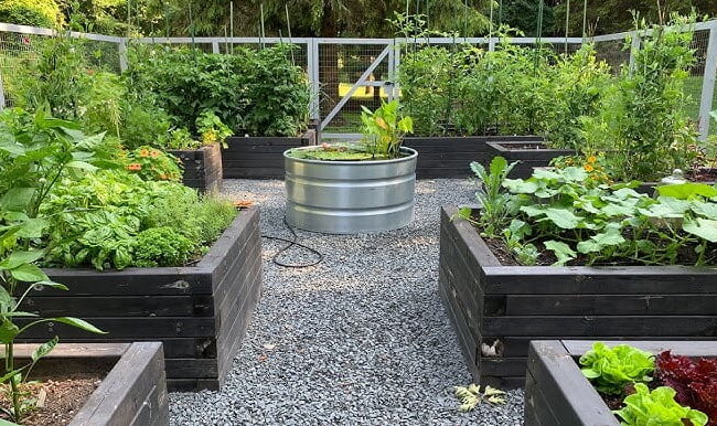 Kitchen Vegetable Garden Dubai