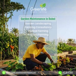 Garden Maintenance in Dubai